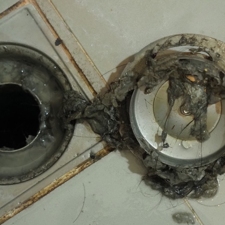 Just another WordPress site